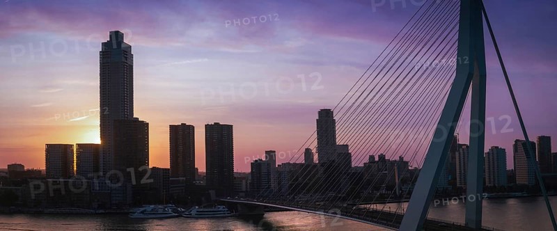 Panoramic view of Erasmus Erasmusbrug bridge in Rotterdam. Financial business district skyline