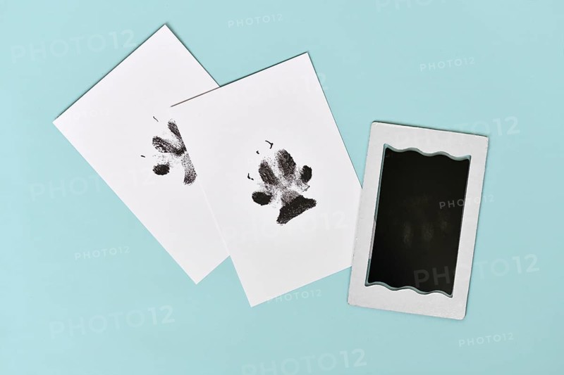 Dog paw prints on white paper next to ink pad on blue background
