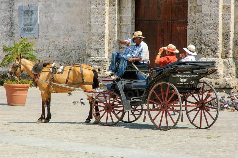 Horse-drawn carriage for tourists Tourist tours in Old Havana, La Habana Vieja, Havana, Cuba