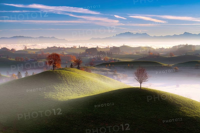Misty hilly landscape near Hirzel at sunrise, behind Mount Säntis, Canton of Zug, Switzerland