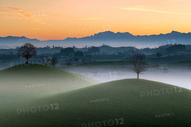 Misty hilly landscape near Hirzel at dawn, behind Mount Säntis, Canton of Zug, Switzerland