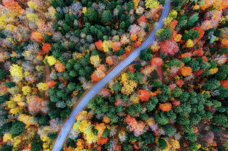 Road through colorful autumn forest from above, Canton of Zurich, Switzerland