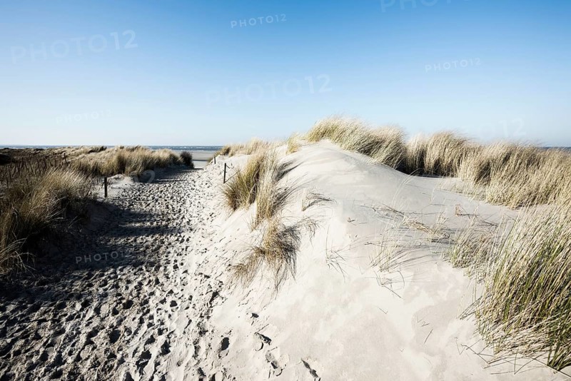 Trail in the dunes and blue sky in winter, Spiekeroog, East Frisian Islands, Lower Saxony, Germany