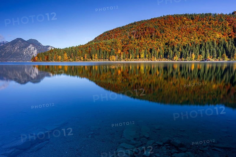 Mountain lake, mountains, morning light, reflection, autumn, autumn color, forest, shore, Walchensee, Upper Bavaria, Bavaria, Germany