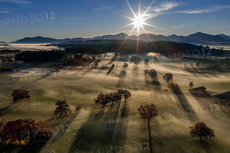Trees, oaks, sunlight, back light, sunny, morning light, autumn, autumn discoloration, fog, aerial view, view of Kochler Mountains, foothills of the Alps, Upper Bavaria, Bavaria, Germany