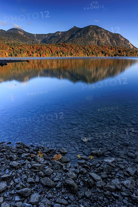 Mountain lake, mountains, morning light, reflection, autumn, autumn color, forest, shore, Walchensee, Upper Bavaria, Bavaria, Germany