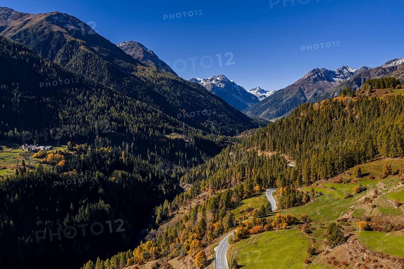 Road, mountains, forest, sunny, autumn, Lower Engadine, Switzerland
