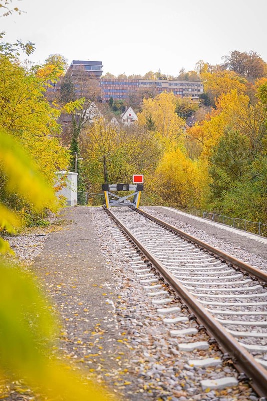 Railway tracks in autumn with yellow trees and hills, ZOB Calw, Hermann Hessebahn, Calw, Germany