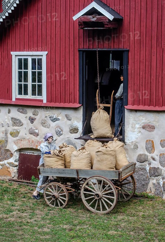 Older wagon with sacks of grain being delivered to the mill in Svenstorp, Ystad Municipality, Skåne County, Sweden, Scandinavia