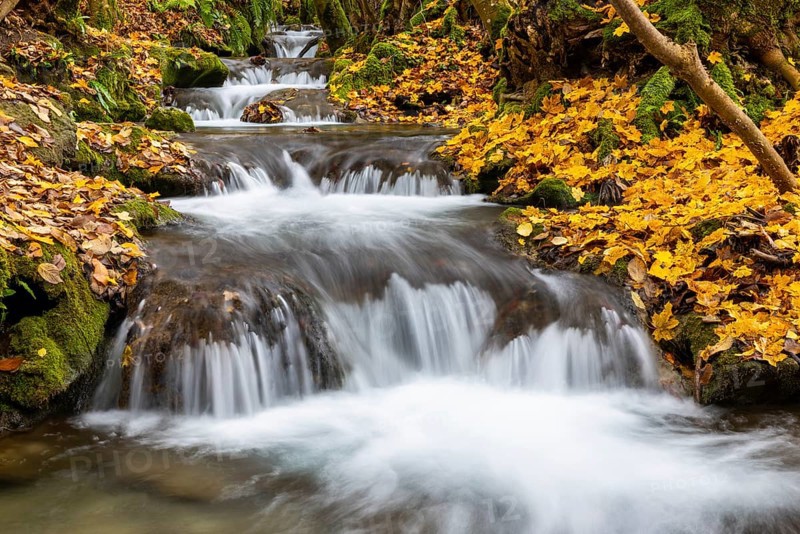 Small waterfall, sinter steps, maple leaves in autumn colors, Brühlbach, Maisental, Bad Urach, Swabian Alb, Baden-Württemberg, Germany
