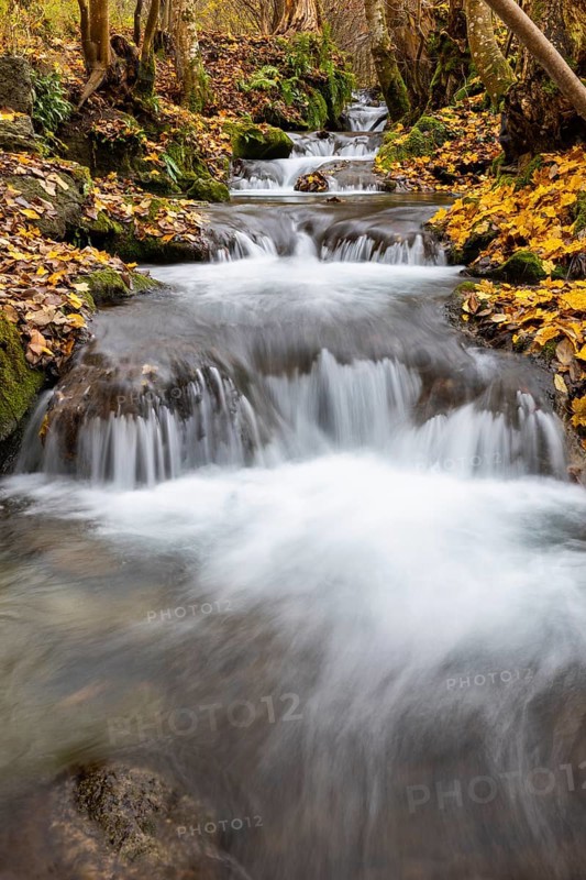 Small waterfall, sinter steps, maple leaves in autumn colors, Brühlbach, Maisental, Bad Urach, Swabian Alb, Baden-Württemberg, Germany