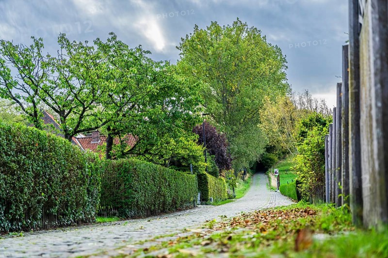 Hill of Koppenberg, Cobblestones at the cycling classic Tour of Flanders, Ardennes, Flanders, Belgium