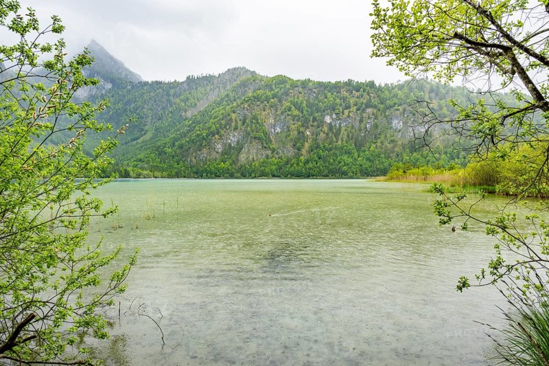 Landscape of Lake Offensee on a rainy day in spring, Salzkammergut, Austria