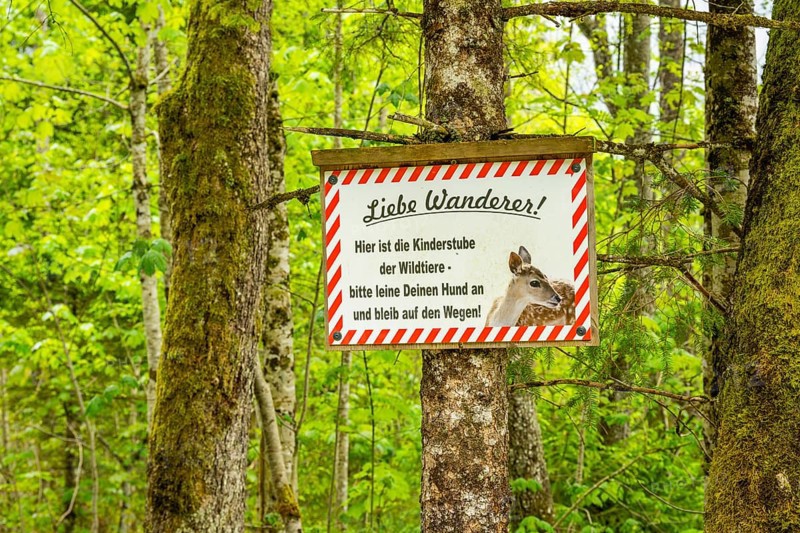 Information sign hanging on a tree trunk for hikers in a forest, Bavaria, Germany