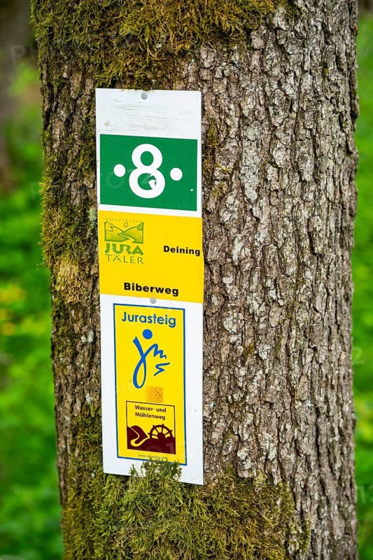 Information sign hanging on a tree trunk for hikers in a forest, Bavaria, Germany