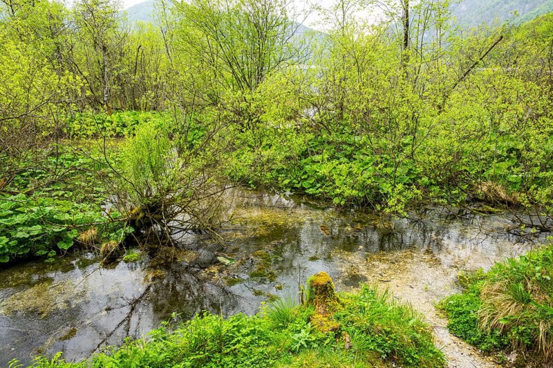 Lanscape of a little stream flowing through the forest in spring on a rainy day, Bavaria, Germany