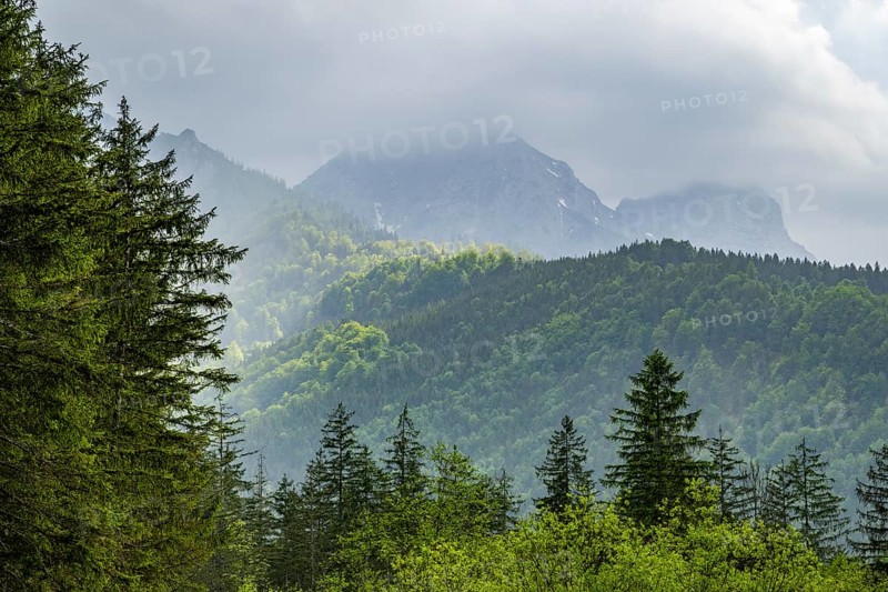 View into the mountains next to Lake Almsee on a rainy day in spring, Traunstein summit, Traunkirchen, Salzkammergut, Austria