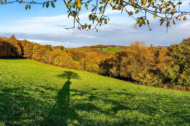 Autumn landscape in Elfringhauser Switzerland, south of Velbert-Langenberg, part of the Neanderland Steig hiking trail, Germany