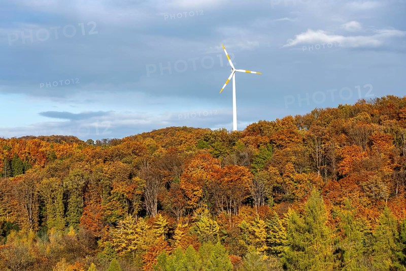 Autumn landscape in Elfringhauser Switzerland, south of Velbert-Langenberg, wind turbine, Germany