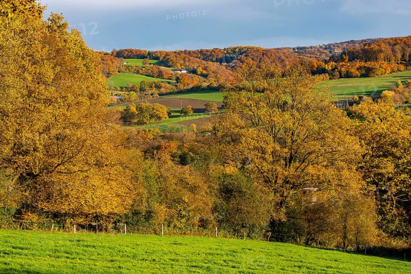 Autumn landscape in Elfringhauser Switzerland, south of Velbert-Langenberg, Germany