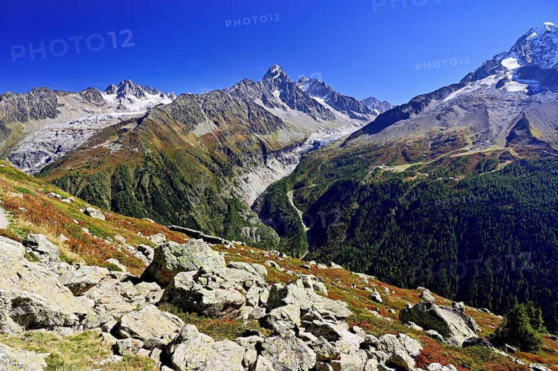 From left front Glacier du Tour back Aiguilles du Tour, right Aiguille du Chardonnet, in front foothills of the Argentière Glacier, Chamonix-Mont-Blanc, Haute-Savoie, France
