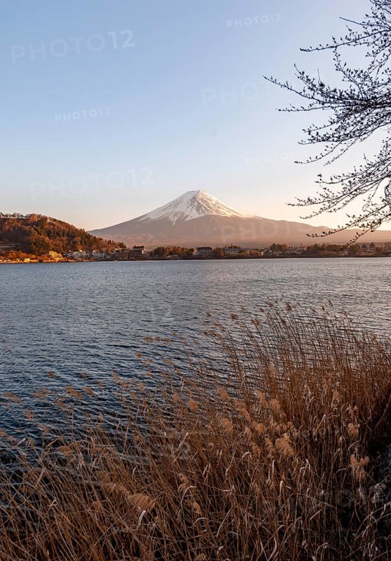 Lake Kawaguchi, view of Mount Fuji volcano at sunset, Yamanashi Prefecture, Japan