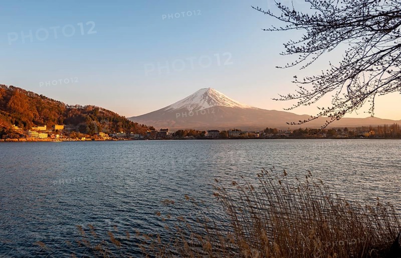 Lake Kawaguchi, view of Mount Fuji volcano at sunset, Yamanashi Prefecture, Japan