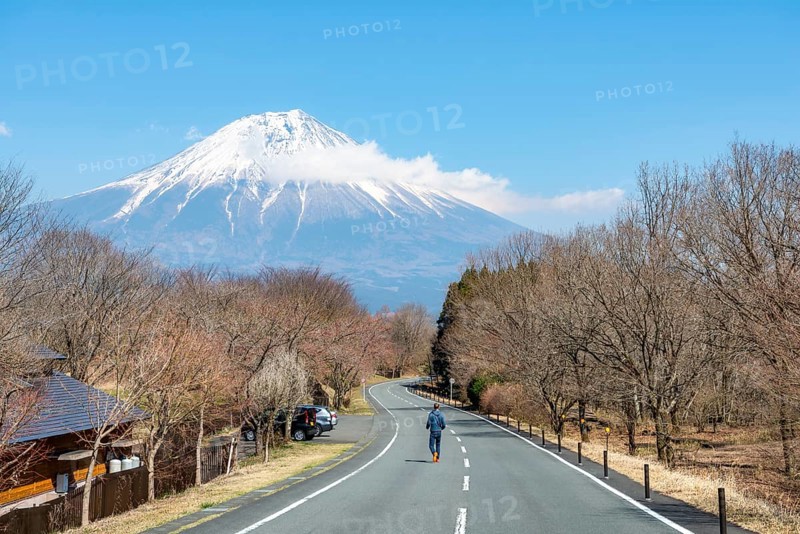 Young man on street, road leading to Mount Fuji volcano, wanderlust, Yamanashi Prefecture, Japan