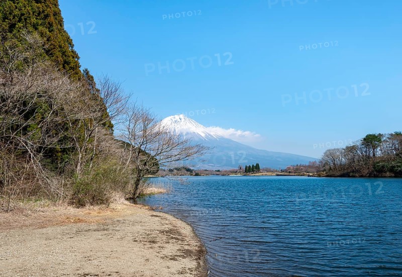 View of Mount Fuji volcano and Lake Tanuki on the lakeside, Fujinomiya, Shizuoka, Japan