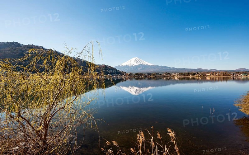 Volcano Mt. Fuji is reflected in Lake Kawaguchi, Yamanashi Prefecture, Japan