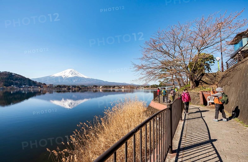 Tourists take pictures on the waterfront, Volcano Mt. Fuji is reflected in Lake Kawaguchi, Yamanashi Prefecture, Japan