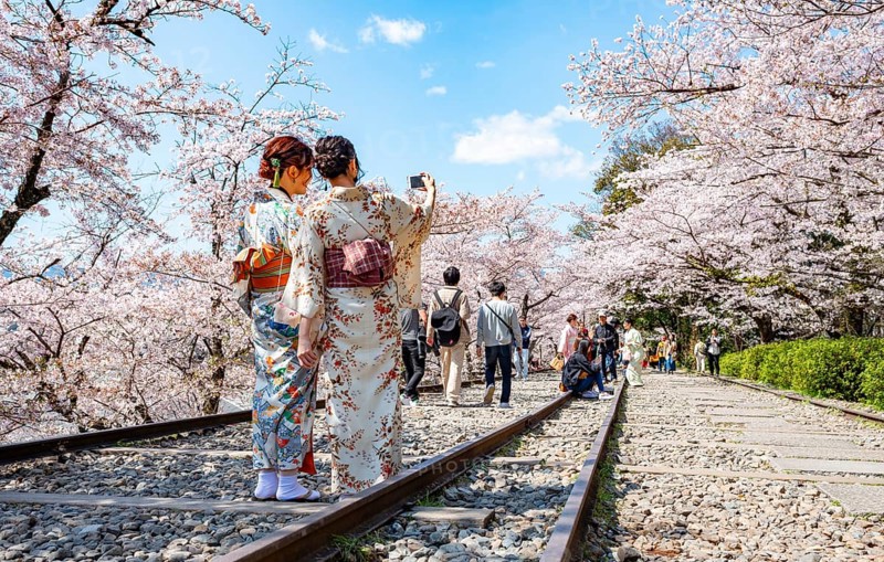 Keage Incline, two Japanese women wearing kimonos taking selfies on old tracks, cherry trees blooming on disused tracks, Hanami, cherry blossoms in spring, Kyoto, Japan