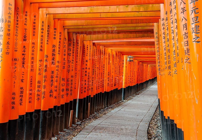 Walk through hundreds of red traditional torii gates, Fushimi Inari Taisha, Shinto Shrine, Fushimi Inari-taisha Okusha Hohaisho, Kyoto, Japan