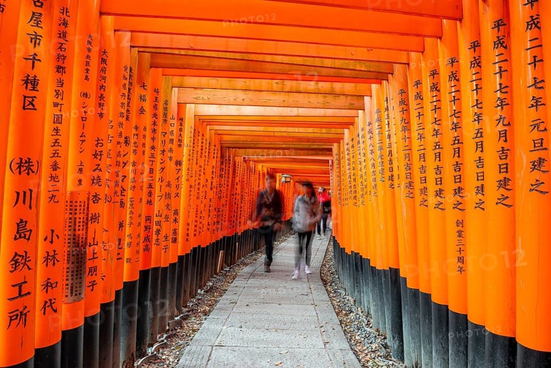 Visitors on a journey through hundreds of red traditional torii gates, Fushimi Inari-taisha, Shinto shrine, long exposure, motion blur, Fushimi Inari-taisha Okusha Hohaisho, Kyoto, Japan