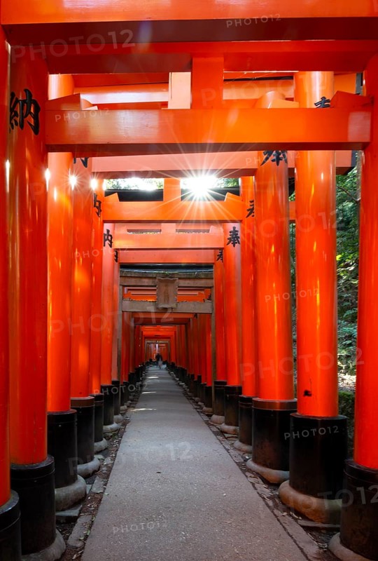 Walk through hundreds of red traditional torii gates, Fushimi Inari Taisha, Shinto Shrine, Sun Star, Fushimi Inari-taisha Okusha Hohaisho, Kyoto, Japan