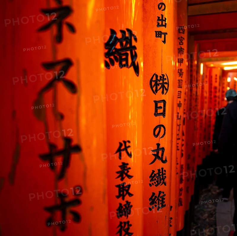 Japanese characters detail, hundreds of red traditional torii gates, Fushimi Inari-taisha, Shinto shrine, Fushimi Inari-taisha Okusha Hohaisho, Kyoto, Japan