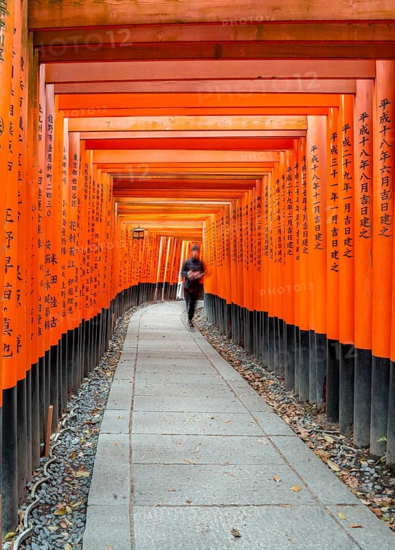 Visitors on a journey through hundreds of red traditional torii gates, Fushimi Inari-taisha, Shinto shrine, long exposure, motion blur, Fushimi Inari-taisha Okusha Hohaisho, Kyoto, Japan