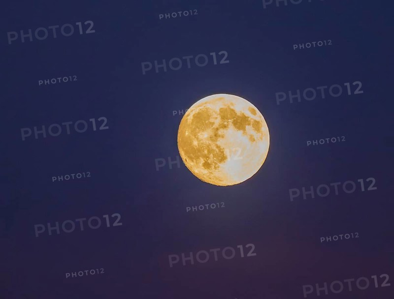 Detailed image of a full moon with visible craters and yellowish glow against a purple background, Supermoon, Bischofswiesen, Berchtesgadener Land, Bavaria, Germany