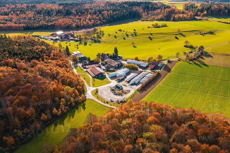 Idyllic farm surrounded by autumn trees and green fields, Haselstaller Hof, Gechingen, Germany