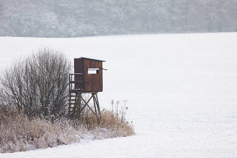 Raised hide, hunting blind, deerstand, deer stand in snow covered field at edge of forest in winter