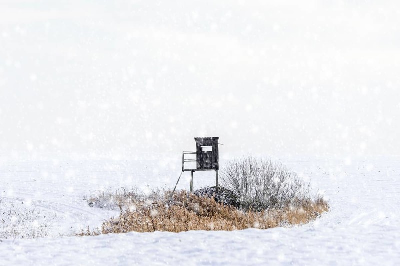 Raised hide, hunting blind, deerstand, deer stand in snow covered field during snow shower in winter