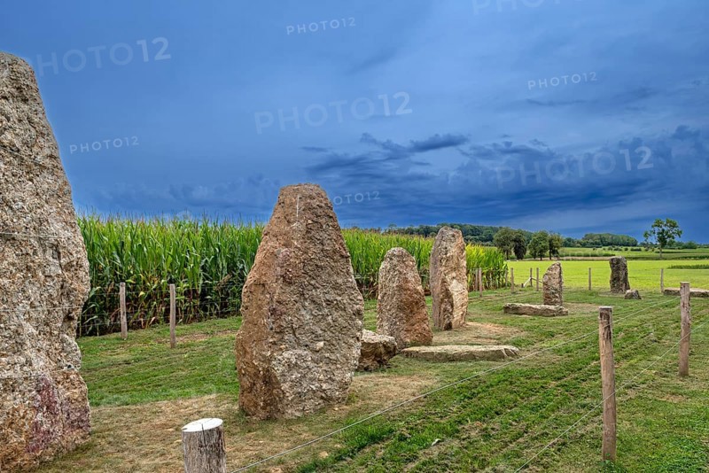 Menhirs, standing stones of conglomerate at Champ de la Longue Pierre in Wéris, Durbuy, province of Luxembourg, Belgian Ardennes, Wallonia, Belgium