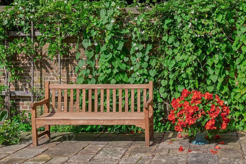 Wooden bench in front of a brick wall and lots of green plants, Münsterland, North Rhine-Westphalia, Germany