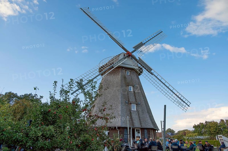 Café guests of a historic windmill, now café, Ahrenshoop, Darß, Mecklenburg-Western Pomerania, Germany