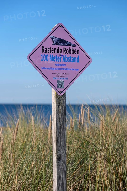 Sign, keep your distance from seals, on the beach on the Baltic Sea, Ahrenshoop, Darß., Mecklenburg-Western Pomerania, Germany