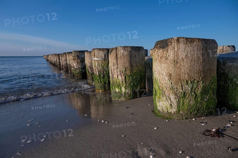 Grooves in the Baltic Sea, detail, Ahrenshoop, Darß, Mecklenburg-Western Pomerania, Germany