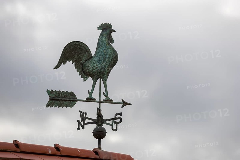 Rooster-shaped weather vane on a tiled roof against a grey sky, Baden-Württemberg, Germany