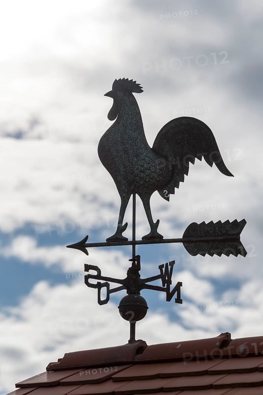 A metal weather vane mounted on a roof against a cloudy sky, Baden-Württemberg, Germany