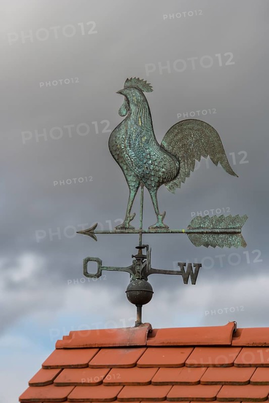 Weather vane with metal rooster on tiled roof against grey sky, Baden-Württemberg, Germany