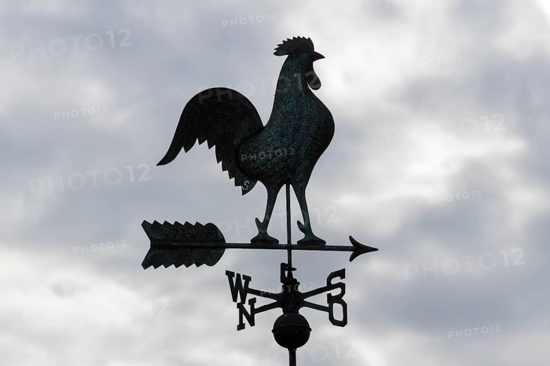 Silhouetted metal weather vane against a cloudy sky, Baden-Württemberg, Germany